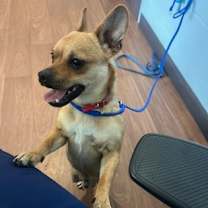 Thumbnail photo of Randal #2