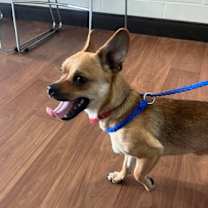 Thumbnail photo of Randal #3