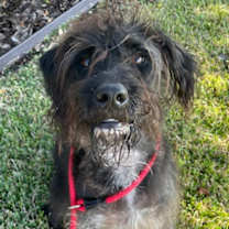 Thumbnail photo of Xander #2