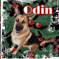 Thumbnail photo of Odin #1