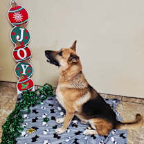 Thumbnail photo of Odin #3