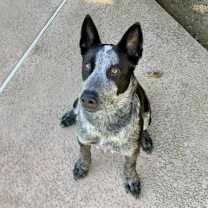 Thumbnail photo of Wednesday #1