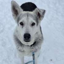 Thumbnail photo of Max #2