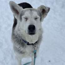 Thumbnail photo of Max #3