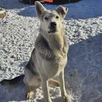 Thumbnail photo of Max #4