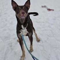 Thumbnail photo of McQueen #1