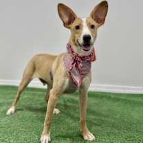 Thumbnail photo of Susy #2