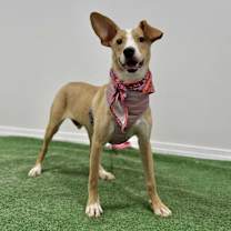 Thumbnail photo of Susy #3