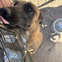 Thumbnail photo of Jet #3