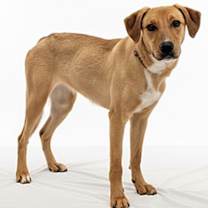 Thumbnail photo of Dancer #1