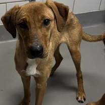 Thumbnail photo of Dancer #2