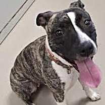 Thumbnail photo of Gigi #2