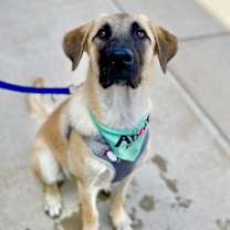 Thumbnail photo of Zeki #1