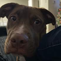 Thumbnail photo of Ares #2