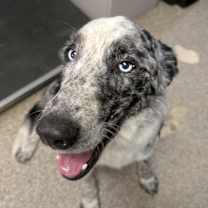 Thumbnail photo of Blink #2