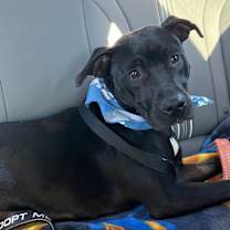 Thumbnail photo of Rory #2