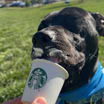 Thumbnail photo of Rory #3