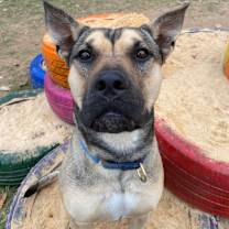 Thumbnail photo of Buck Rogers #2