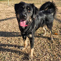 Thumbnail photo of Shoko #1