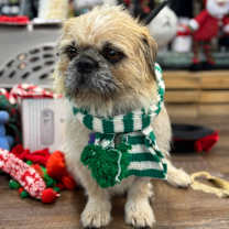 Thumbnail photo of Bandit B1109 #1