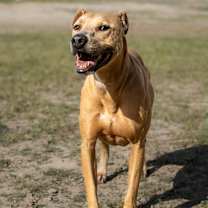 Thumbnail photo of Winona JuM #1