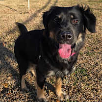 Thumbnail photo of Shoko #4