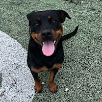 Thumbnail photo of Charity  #1