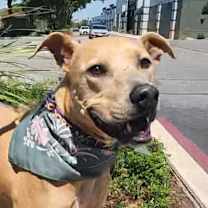 Thumbnail photo of Winona JuM #4