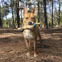 Thumbnail photo of Blooper #1