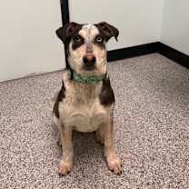 Thumbnail photo of Juice #1