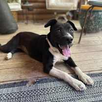 Thumbnail photo of Shawna - KA #1