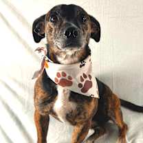 Thumbnail photo of Fabian #2