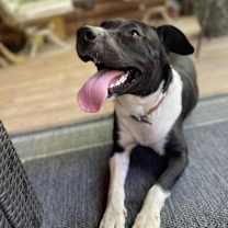 Thumbnail photo of Shawna - KA #3