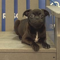 Thumbnail photo of DOODLE #1