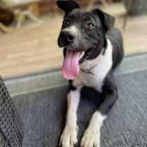 Thumbnail photo of Shawna - KA #4