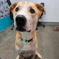 Thumbnail photo of Finn #3