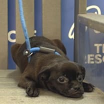 Thumbnail photo of DOODLE #2