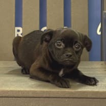 Thumbnail photo of DOODLE #3