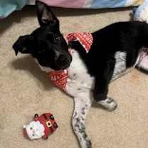 Thumbnail photo of Espen #1