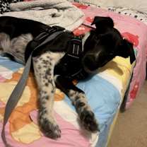 Thumbnail photo of Espen #2