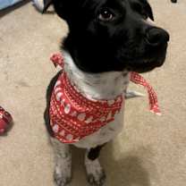 Thumbnail photo of Espen #3