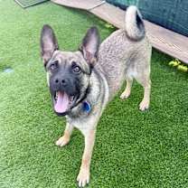 Thumbnail photo of Daria #3