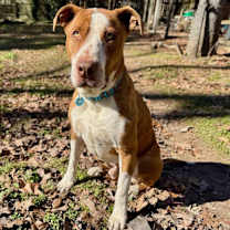 Thumbnail photo of Levonn - KA #1