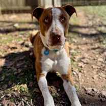 Thumbnail photo of Levonn - KA #3