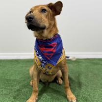 Thumbnail photo of Timon #2