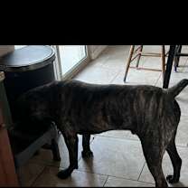 Thumbnail photo of Shadow #3