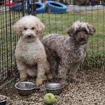 Thumbnail photo of Darlie #4