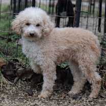 Thumbnail photo of Debbie #1