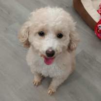 Thumbnail photo of Debbie #2