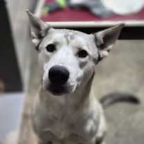 Thumbnail photo of Nairobi #3